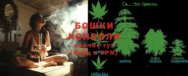 дживик Кукмор